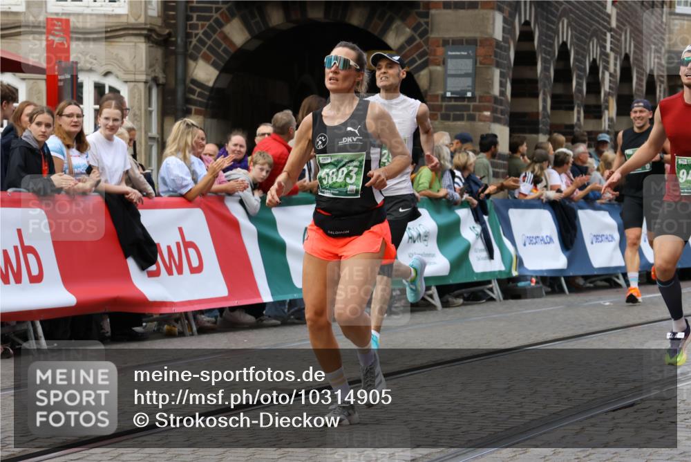 13.09.2026 - 21. swb-Marathon Bremen Strokosch-Dieckow http://msf.ph/oto/10314905 13.09.2026 13:06:01 Ziel 1017, 1301, 1562, 1745, 1879, 2538, 3242, 3271, 3520, 4157, 5199, 5725, 6025, 6579, 8706, 8973, 9010, 681, 1901, 3297, 3466, 4614, 6686, 7336, 8670, 9429 meine-sportfotos.de