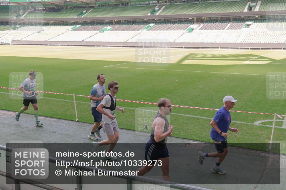 13.09.2026 - 21. swb-Marathon Bremen Michael Burmester http://msf.ph/oto/10339273 13.09.2026 13:18:29 Laufen im Stadion 311, 404, 486, 546, 588, 732, 753, 837, 921, 1057, 1424, 1425, 1431, 1506, 1765, 1790, 1813, 1844, 1868, 2056, 2067, 2096, 2123, 2137, 2224, 2294, 2357, 2358, 2389, 2419, 2453, 2532, 2550, 2557, 2563, 2586, 2601, 2614, 2622, 2647, 2655, 2786, 2843, 2845, 2849, 2857, 2879, 2880, 2893, 2944, 2983, 2984, 2999, 3031, 3046, 3072, 3096, 3100, 3104, 3146, 3180, 3189, 3195, 3198, 3210, 3285, 3287, 3314, 3337, 3421, 3431, 3476, 3479, 3537, 3548, 3619, 3633, 3654, 3740, 3879, 4478 meine-sportfotos.de