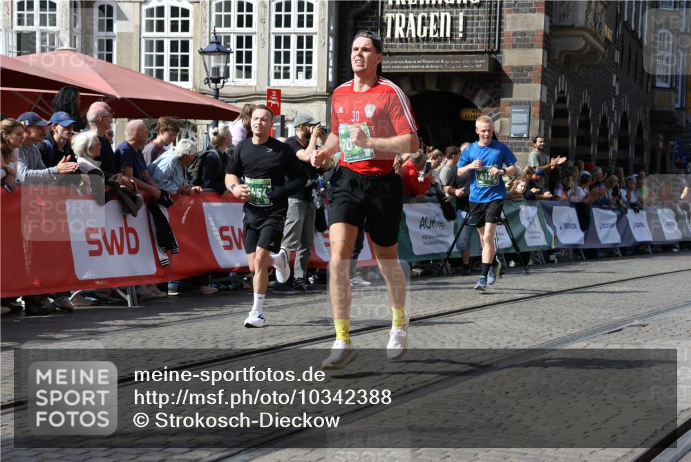 13.09.2026 - 21. swb-Marathon Bremen Strokosch-Dieckow http://msf.ph/oto/10342388 13.09.2026 13:27:06 Ziel 531, 2779, 3076, 3302, 3510, 3852, 3893, 4441, 4598, 4919, 5054, 5937, 5943, 6289, 6314, 6375, 6455, 6548, 6580, 7246, 7317, 8112, 8303, 9551, 13097, 242, 3273, 3385, 3496, 4121, 4558, 6071, 6288, 6776, 7849, 8219, 9159, 9343, 9760, 10112, 10113, 13147 meine-sportfotos.de