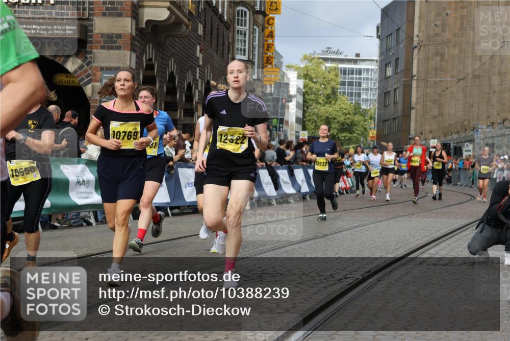 13.09.2026 - 21. swb-Marathon Bremen Strokosch-Dieckow http://msf.ph/oto/10388239 13.09.2026 11:09:35 Ziel 10314, 10321, 10556, 10570, 10630, 10664, 10686, 10694, 10769, 10823, 10983, 11091, 11138, 11304, 11578, 11764, 11882, 11883, 11914, 11915, 11987, 11995, 12155, 12322, 12337, 12491, 13607, 10234, 10386, 10417, 10645, 10696, 10737, 10785, 10990, 10991, 12449 meine-sportfotos.de