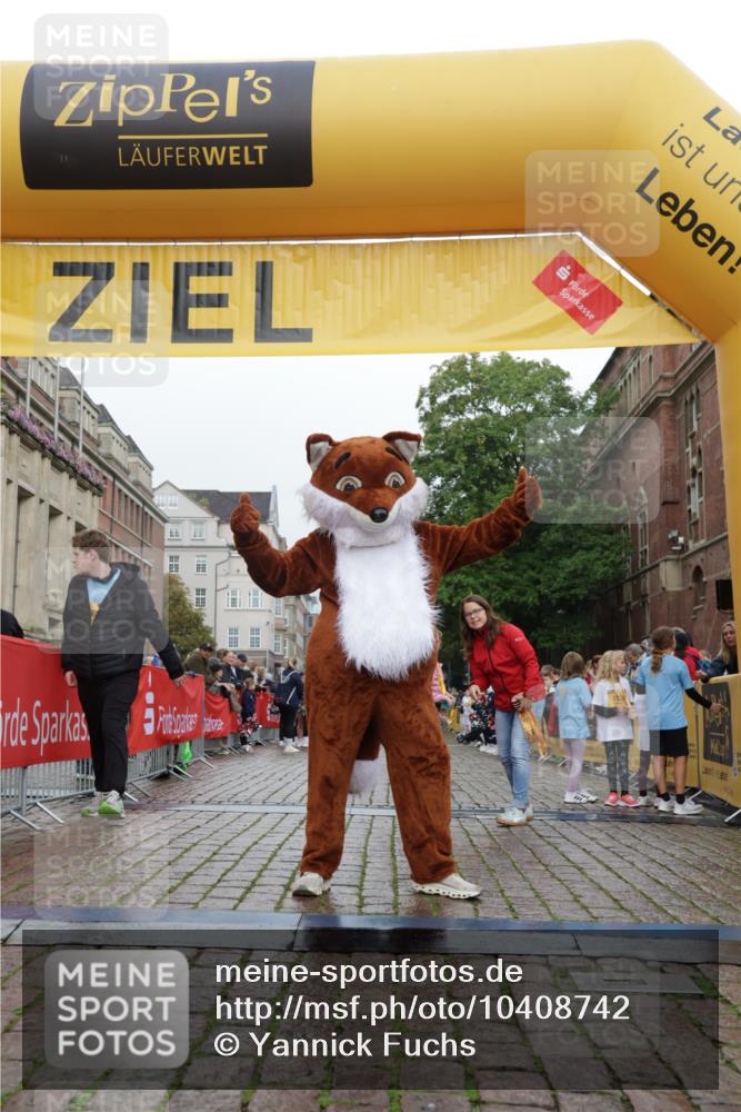 13.09.2026 - Kiel Lauf Yannick Fuchs http://msf.ph/oto/10408742 13.09.2026 09:05:00 Ziel 7068, 8583, 1968, 2670, 8088 meine-sportfotos.de