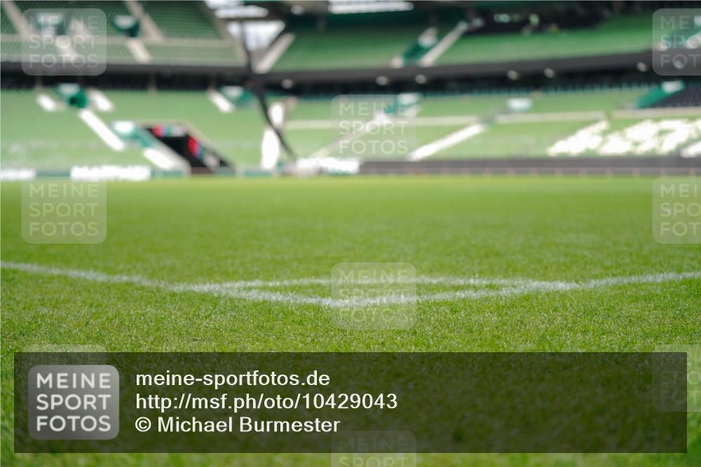 13.09.2026 - 21. swb-Marathon Bremen Michael Burmester http://msf.ph/oto/10429043 13.09.2026 11:44:03 Laufen im Stadion  meine-sportfotos.de
