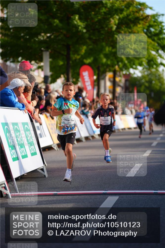 20.09.2026 - PSD Bank Halbmarathon LAZAROV Photography http://msf.ph/oto/10510123 20.09.2026 10:29:28 Laufen  meine-sportfotos.de