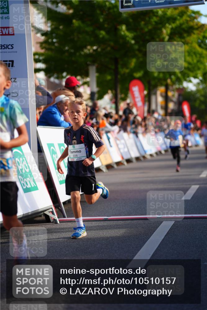 20.09.2026 - PSD Bank Halbmarathon LAZAROV Photography http://msf.ph/oto/10510157 20.09.2026 10:29:30 Laufen 228 meine-sportfotos.de