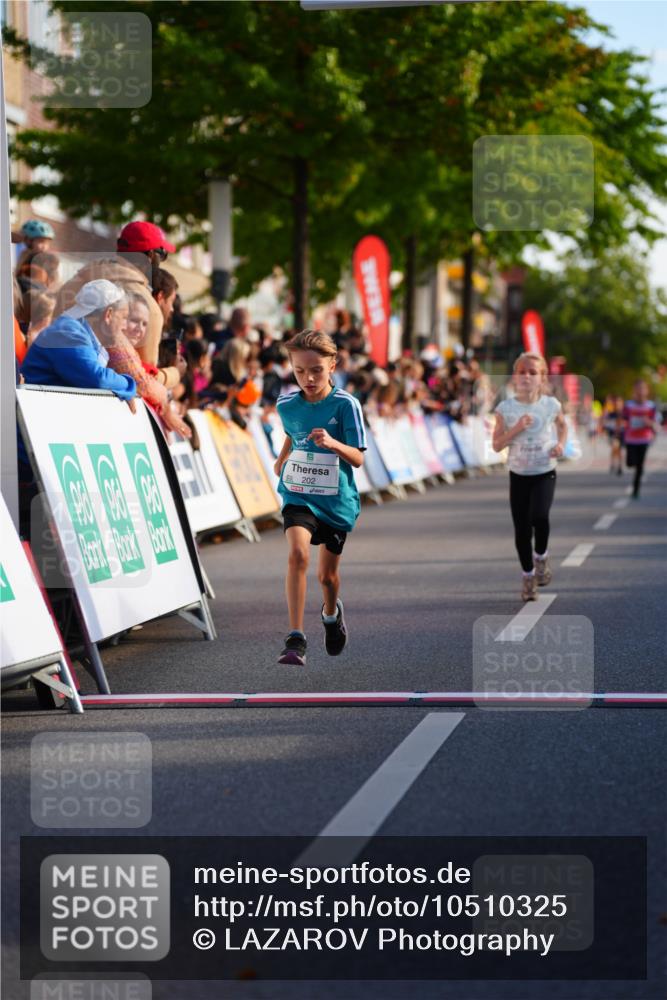 20.09.2026 - PSD Bank Halbmarathon LAZAROV Photography http://msf.ph/oto/10510325 20.09.2026 10:29:50 Laufen 202 meine-sportfotos.de