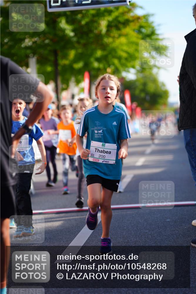20.09.2026 - PSD Bank Halbmarathon LAZAROV Photography http://msf.ph/oto/10548268 20.09.2026 10:32:42 Ziel 118, 125, 133, 178, 179, 182, 184, 191, 200, 209, 248, 288, 313, 333, 359, 396, 425, 443, 454 meine-sportfotos.de