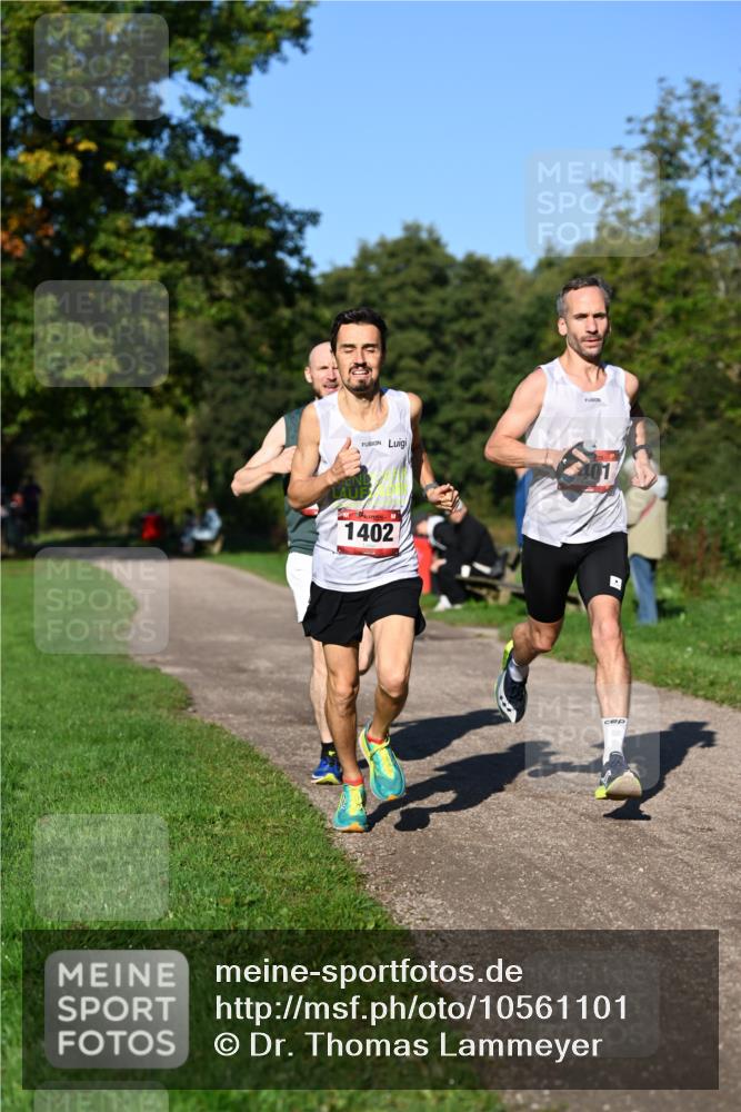 27.09.2026 - 35. Volkslauf durch das schöne Alstertal Dr. Thomas Lammeyer http://msf.ph/oto/10561101 27.09.2026 10:03:33 Laufen 1402 meine-sportfotos.de