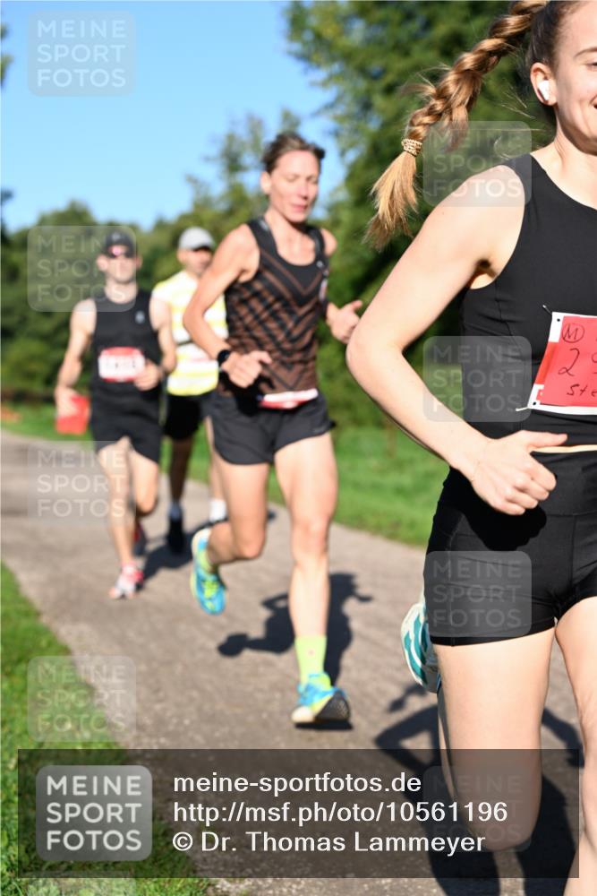 27.09.2026 - 35. Volkslauf durch das schöne Alstertal Dr. Thomas Lammeyer http://msf.ph/oto/10561196 27.09.2026 10:04:01 Laufen 2 meine-sportfotos.de