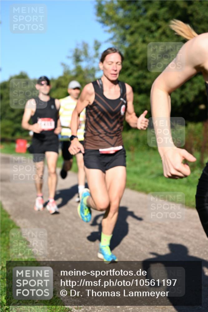 27.09.2026 - 34. Volkslauf durch das schöne Alstertal Dr. Thomas Lammeyer http://msf.ph/oto/10561197 27.09.2026 10:04:01 Laufen  meine-sportfotos.de