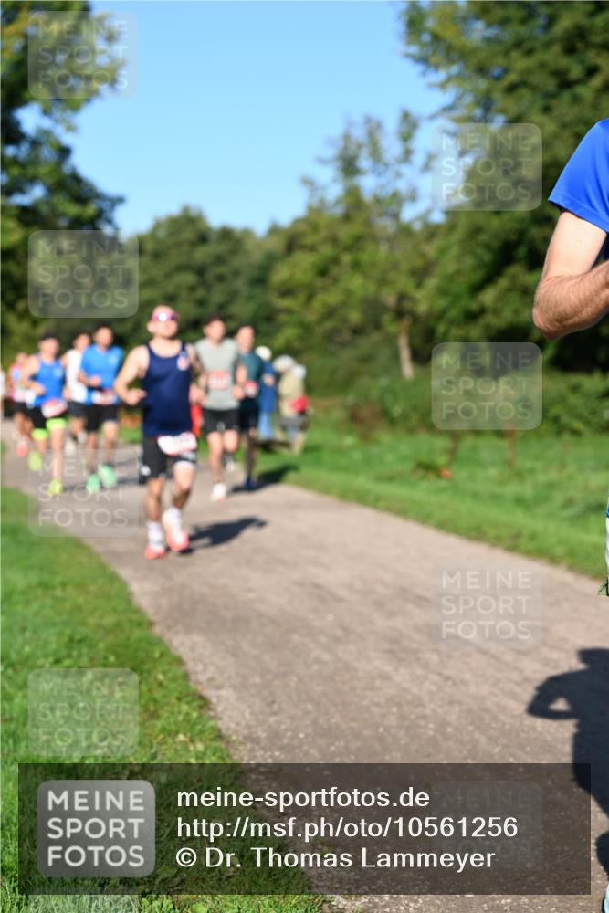 27.09.2026 - 35. Volkslauf durch das schöne Alstertal Dr. Thomas Lammeyer http://msf.ph/oto/10561256 27.09.2026 10:04:11 Laufen  meine-sportfotos.de