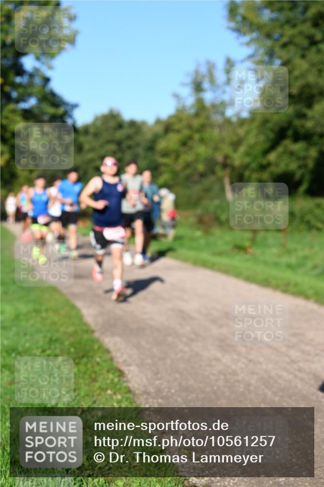 27.09.2026 - 34. Volkslauf durch das schöne Alstertal Dr. Thomas Lammeyer http://msf.ph/oto/10561257 27.09.2026 10:04:11 Laufen  meine-sportfotos.de