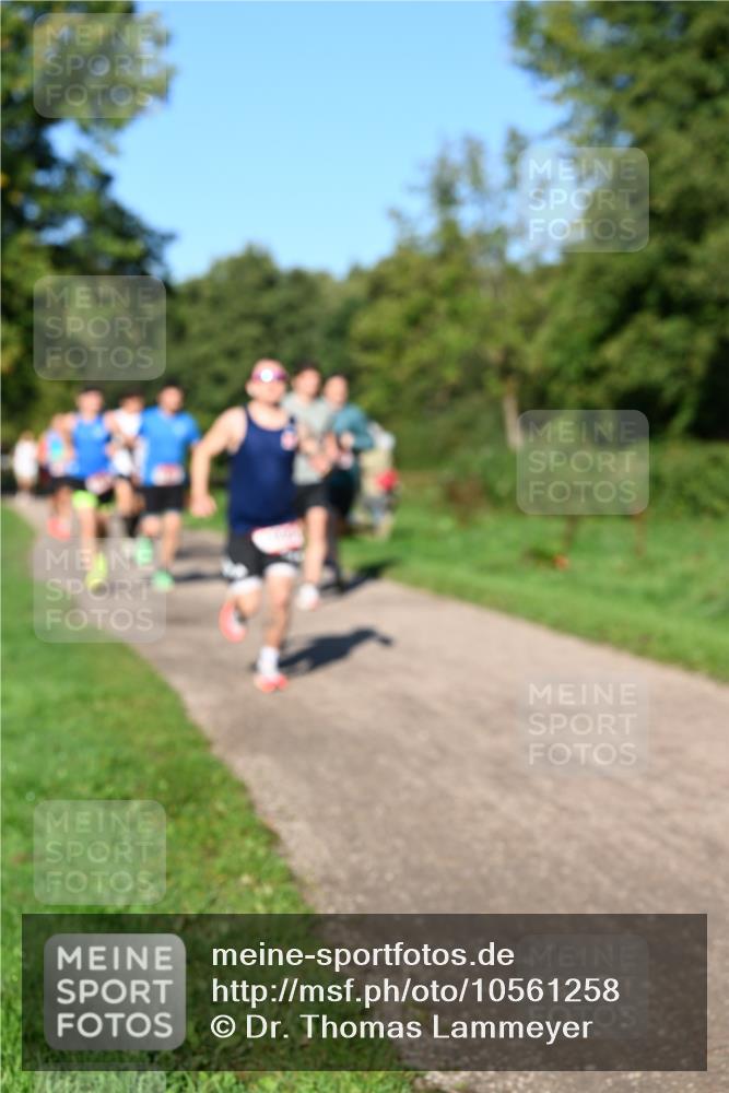 27.09.2026 - 34. Volkslauf durch das schöne Alstertal Dr. Thomas Lammeyer http://msf.ph/oto/10561258 27.09.2026 10:04:12 Laufen  meine-sportfotos.de