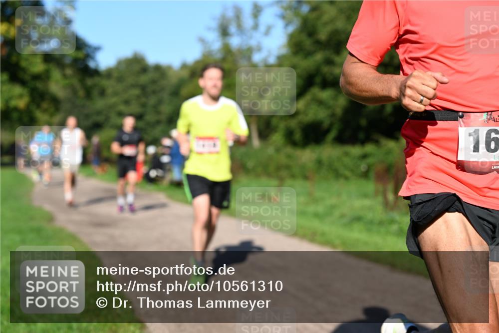 27.09.2026 - 35. Volkslauf durch das schöne Alstertal Dr. Thomas Lammeyer http://msf.ph/oto/10561310 27.09.2026 10:04:21 Laufen 16 meine-sportfotos.de