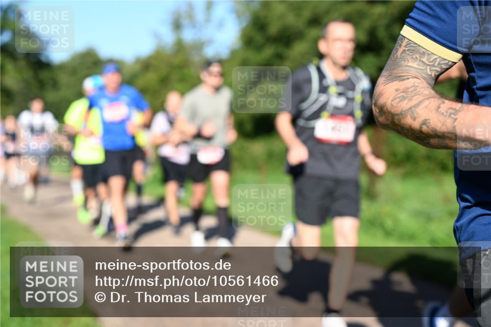 27.09.2026 - 34. Volkslauf durch das schöne Alstertal Dr. Thomas Lammeyer http://msf.ph/oto/10561466 27.09.2026 10:04:47 Laufen  meine-sportfotos.de