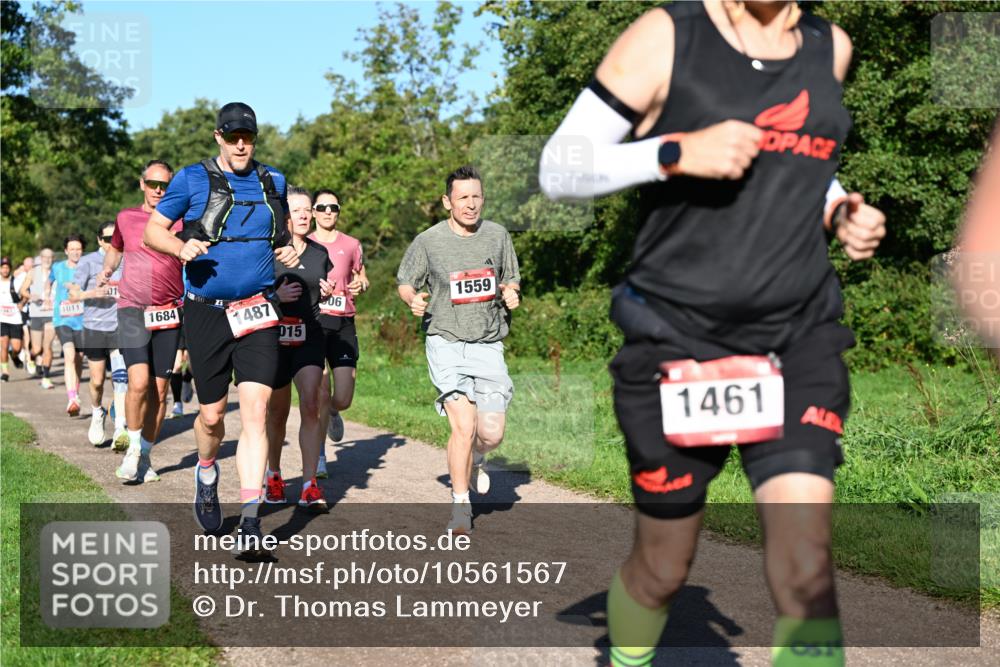 27.09.2026 - 35. Volkslauf durch das schöne Alstertal Dr. Thomas Lammeyer http://msf.ph/oto/10561567 27.09.2026 10:05:06 Laufen 1011, 1684, 1487, 015, 06, 1559, 1461, 1 meine-sportfotos.de