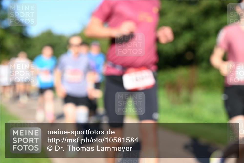 27.09.2026 - 35. Volkslauf durch das schöne Alstertal Dr. Thomas Lammeyer http://msf.ph/oto/10561584 27.09.2026 10:05:08 Laufen  meine-sportfotos.de