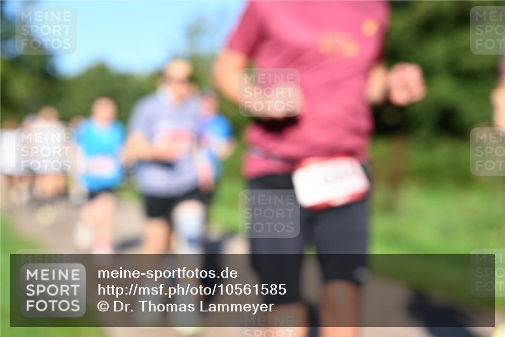 27.09.2026 - 35. Volkslauf durch das schöne Alstertal Dr. Thomas Lammeyer http://msf.ph/oto/10561585 27.09.2026 10:05:08 Laufen  meine-sportfotos.de