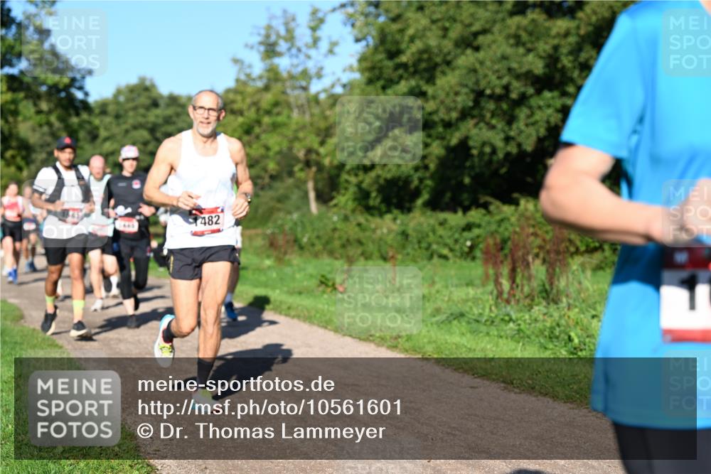 27.09.2026 - 35. Volkslauf durch das schöne Alstertal Dr. Thomas Lammeyer http://msf.ph/oto/10561601 27.09.2026 10:05:11 Laufen 645, 482 meine-sportfotos.de