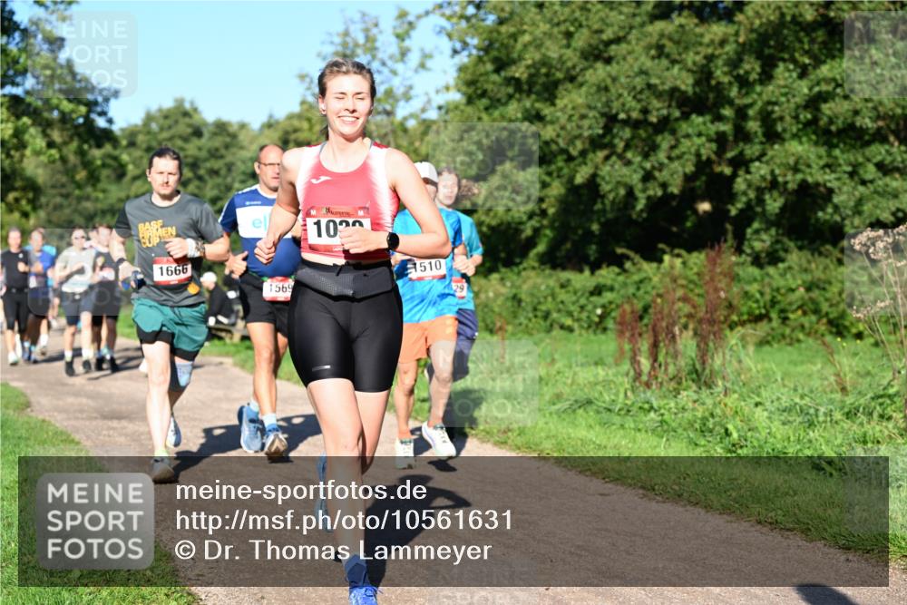 27.09.2026 - 35. Volkslauf durch das schöne Alstertal Dr. Thomas Lammeyer http://msf.ph/oto/10561631 27.09.2026 10:05:17 Laufen 1666, 1569, 102, 1510, 29 meine-sportfotos.de