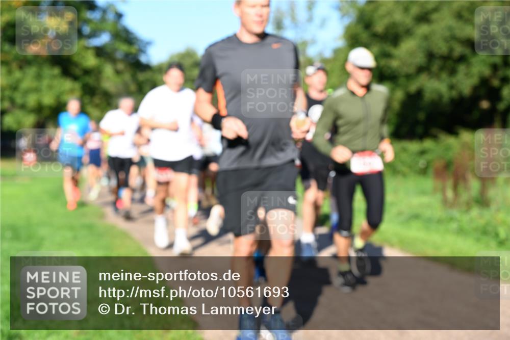 27.09.2026 - 35. Volkslauf durch das schöne Alstertal Dr. Thomas Lammeyer http://msf.ph/oto/10561693 27.09.2026 10:05:31 Laufen  meine-sportfotos.de