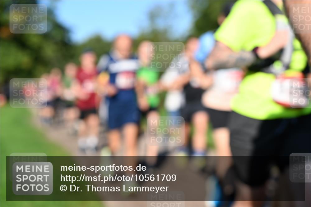 27.09.2026 - 35. Volkslauf durch das schöne Alstertal Dr. Thomas Lammeyer http://msf.ph/oto/10561709 27.09.2026 10:05:36 Laufen  meine-sportfotos.de
