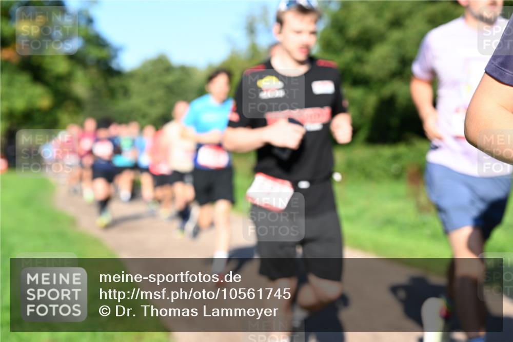 27.09.2026 - 35. Volkslauf durch das schöne Alstertal Dr. Thomas Lammeyer http://msf.ph/oto/10561745 27.09.2026 10:05:42 Laufen  meine-sportfotos.de