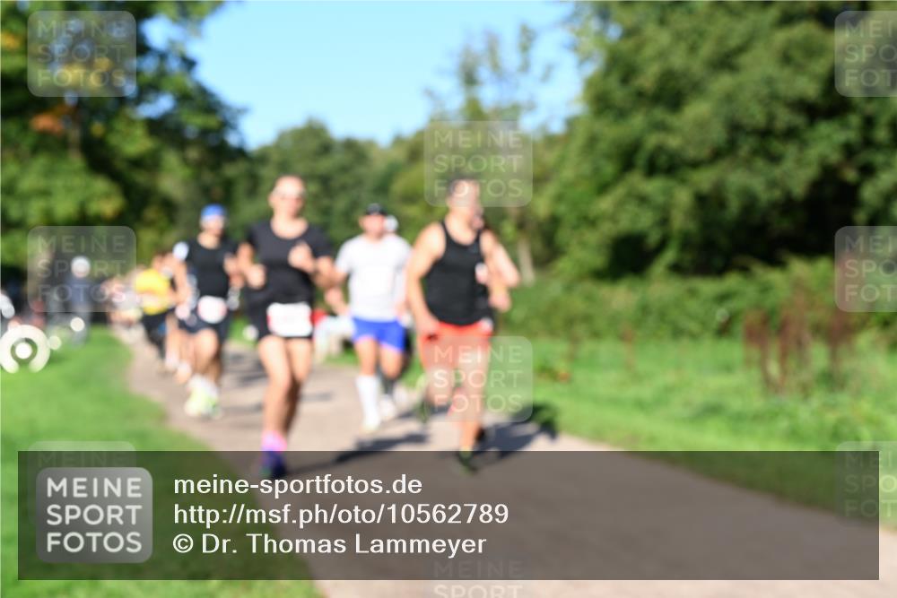 27.09.2026 - 35. Volkslauf durch das schöne Alstertal Dr. Thomas Lammeyer http://msf.ph/oto/10562789 27.09.2026 10:24:50 Laufen  meine-sportfotos.de
