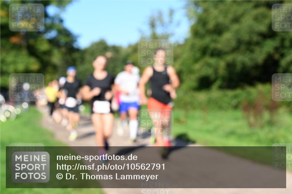 27.09.2026 - 35. Volkslauf durch das schöne Alstertal Dr. Thomas Lammeyer http://msf.ph/oto/10562791 27.09.2026 10:24:50 Laufen  meine-sportfotos.de