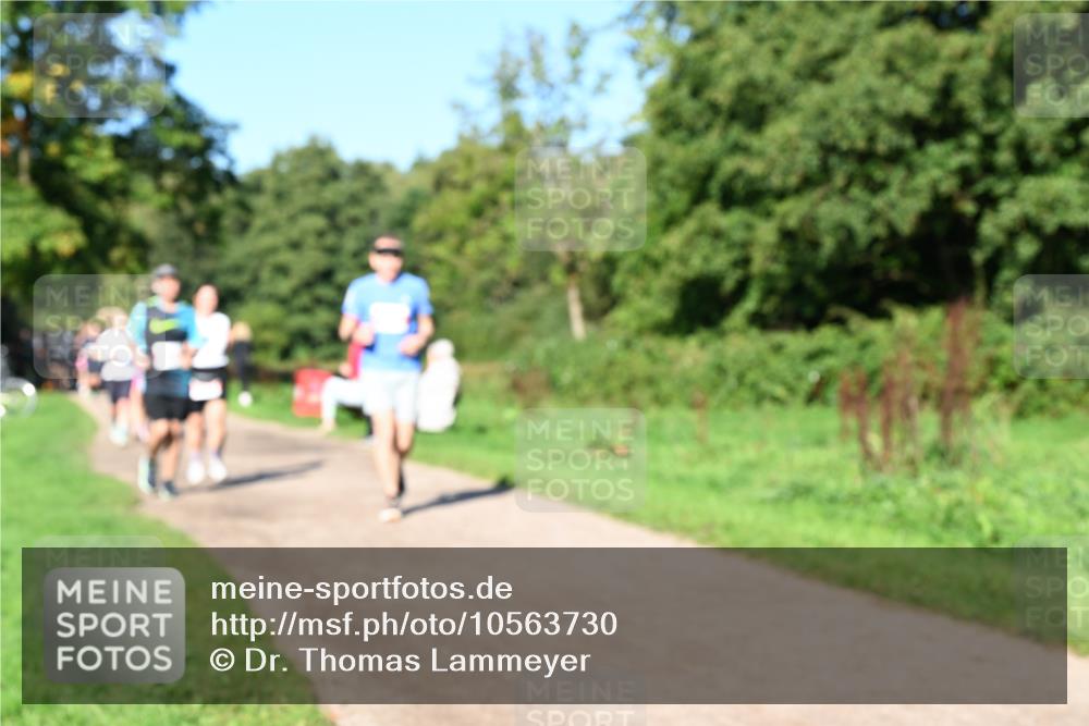 27.09.2026 - 35. Volkslauf durch das schöne Alstertal Dr. Thomas Lammeyer http://msf.ph/oto/10563730 27.09.2026 10:27:40 Laufen  meine-sportfotos.de