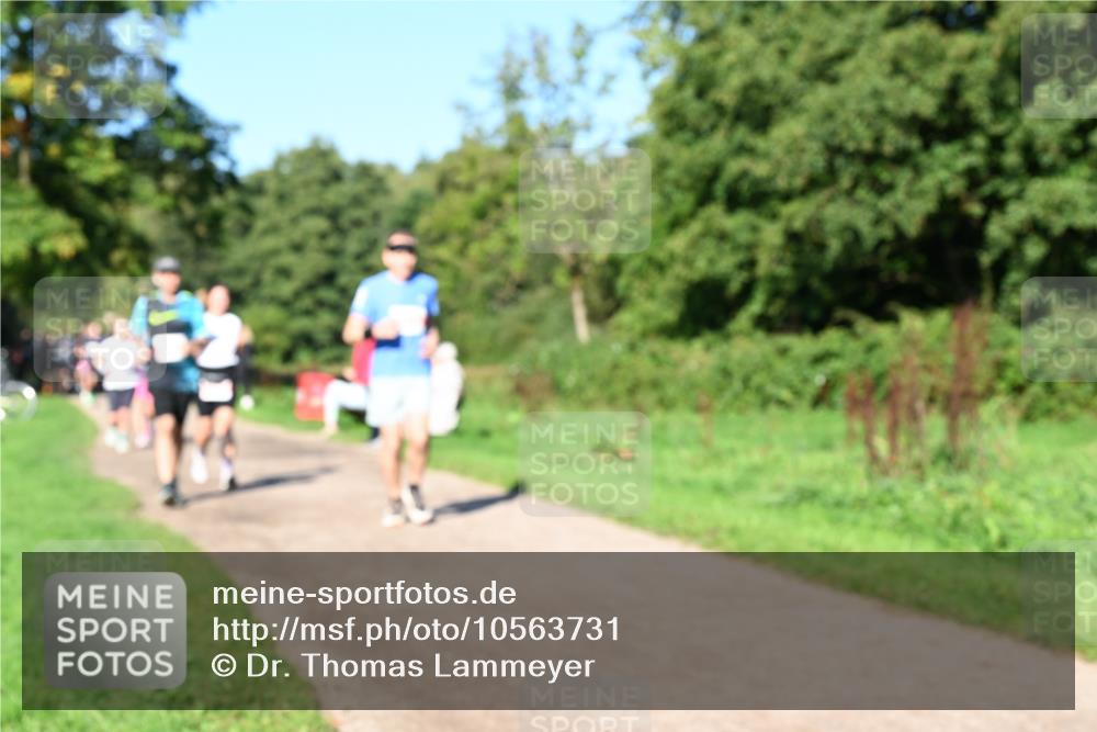 27.09.2026 - 35. Volkslauf durch das schöne Alstertal Dr. Thomas Lammeyer http://msf.ph/oto/10563731 27.09.2026 10:27:40 Laufen  meine-sportfotos.de