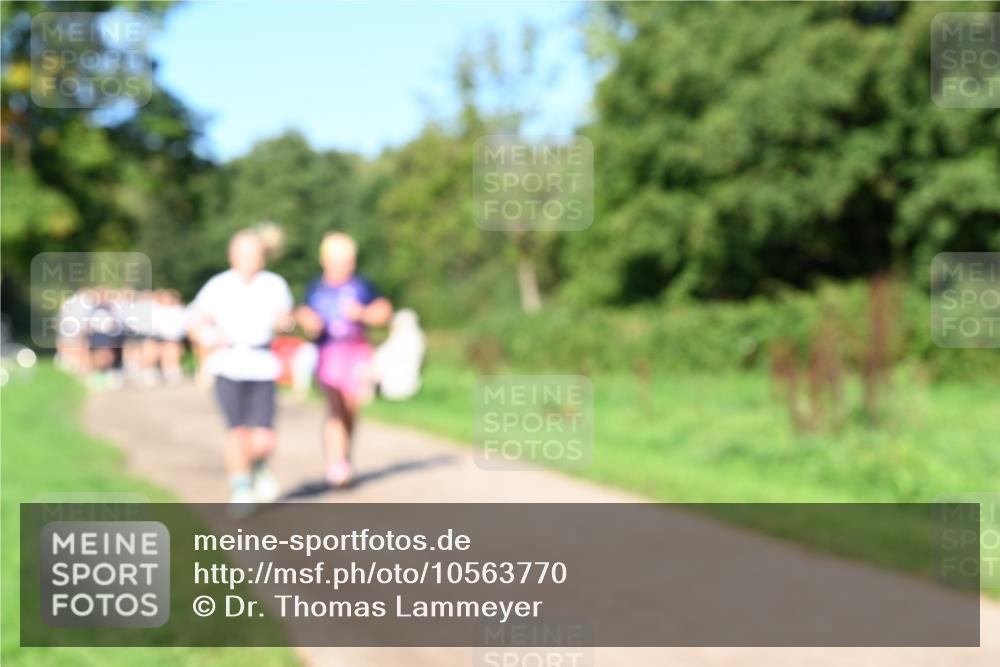 27.09.2026 - 35. Volkslauf durch das schöne Alstertal Dr. Thomas Lammeyer http://msf.ph/oto/10563770 27.09.2026 10:27:47 Laufen  meine-sportfotos.de