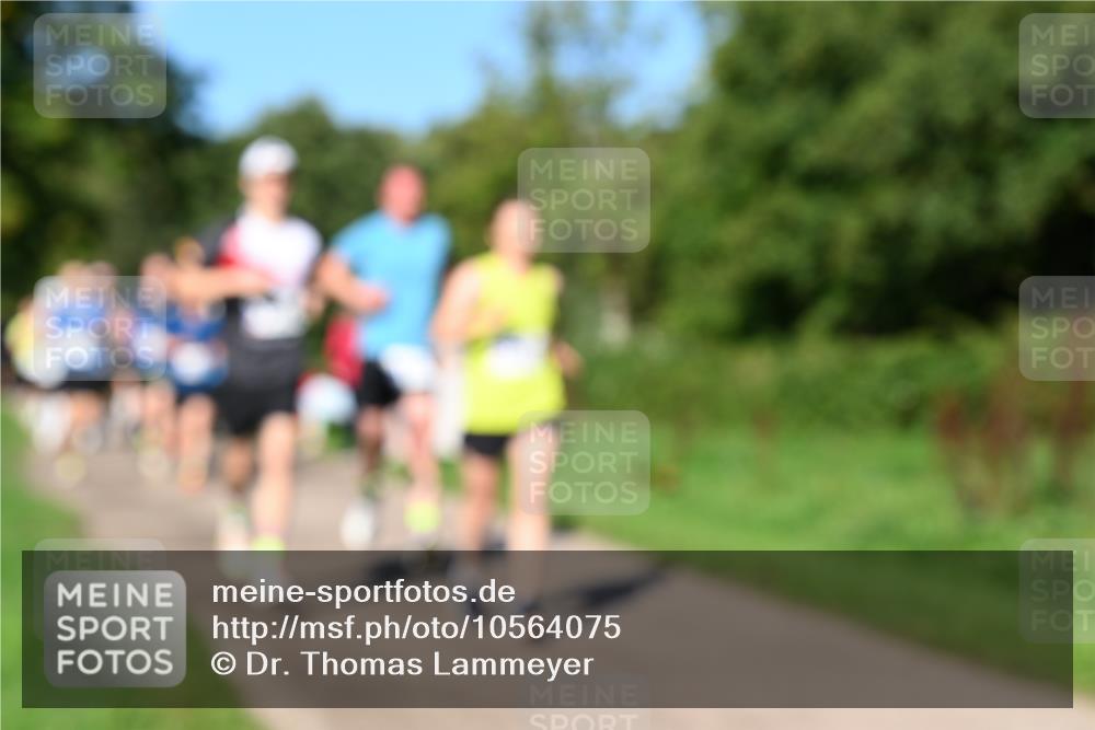 27.09.2026 - 35. Volkslauf durch das schöne Alstertal Dr. Thomas Lammeyer http://msf.ph/oto/10564075 27.09.2026 10:34:12 Laufen  meine-sportfotos.de