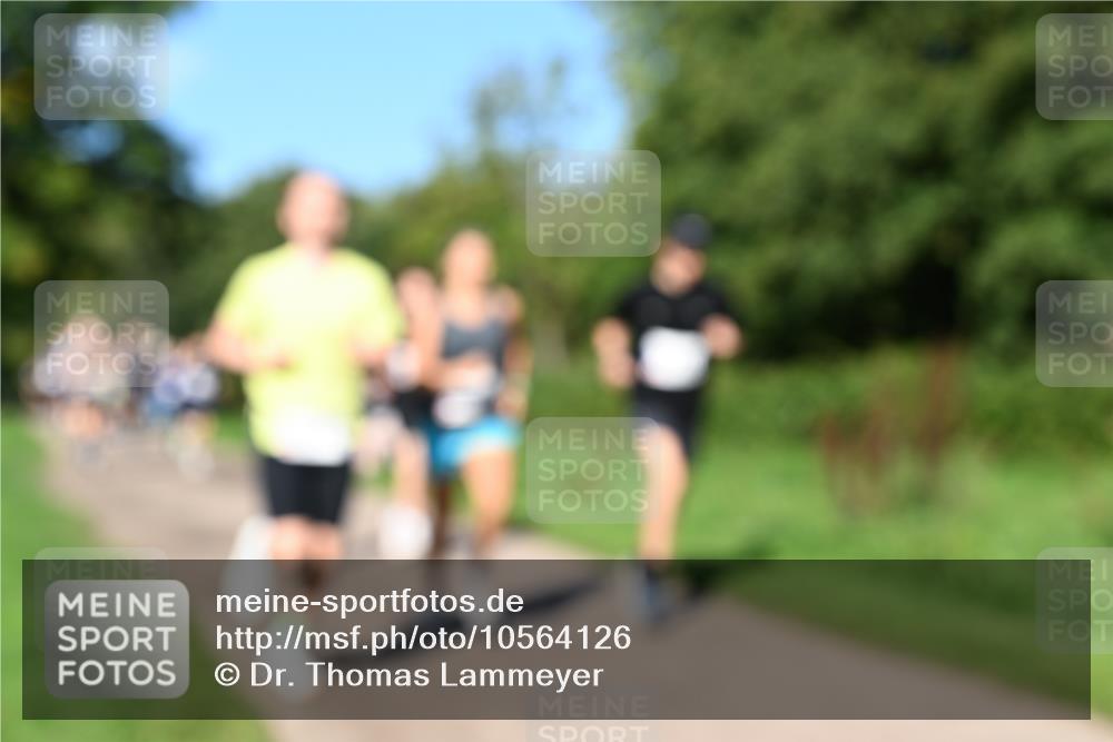27.09.2026 - 35. Volkslauf durch das schöne Alstertal Dr. Thomas Lammeyer http://msf.ph/oto/10564126 27.09.2026 10:34:20 Laufen  meine-sportfotos.de