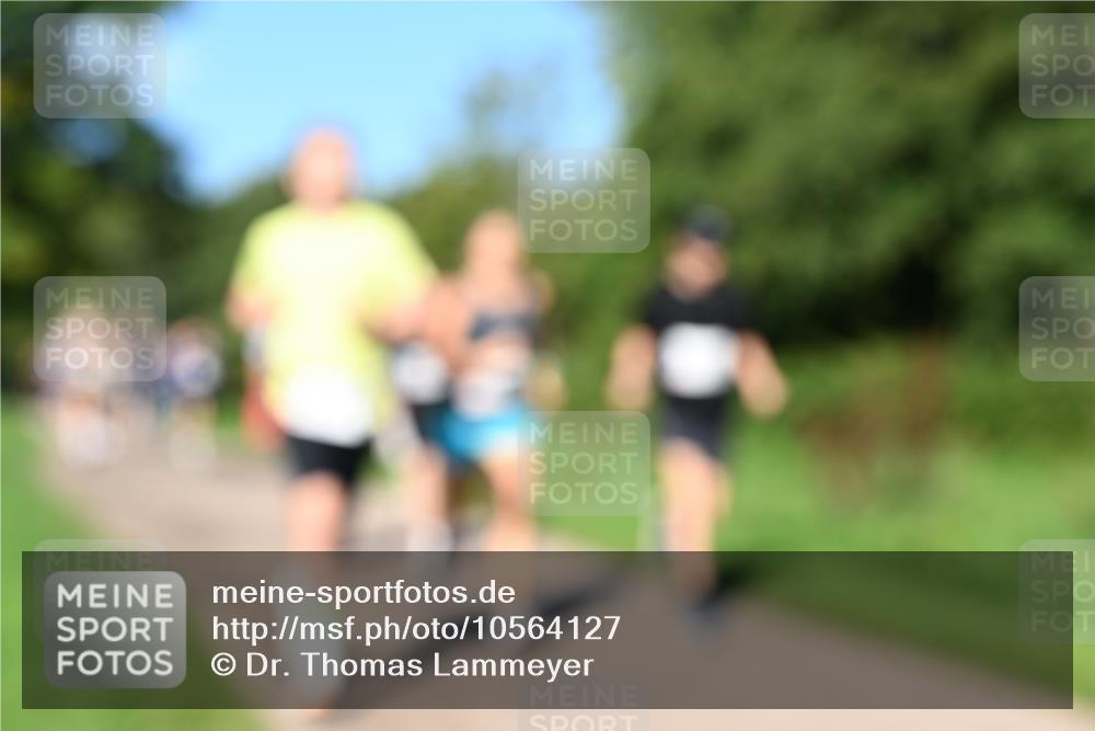 27.09.2026 - 35. Volkslauf durch das schöne Alstertal Dr. Thomas Lammeyer http://msf.ph/oto/10564127 27.09.2026 10:34:20 Laufen  meine-sportfotos.de