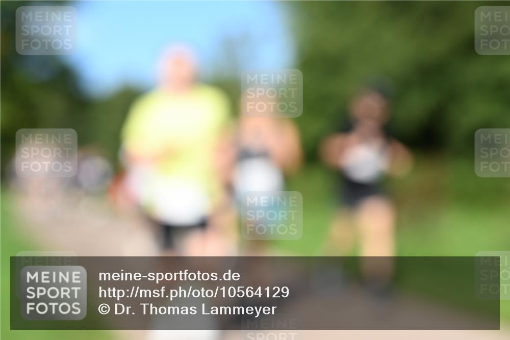 27.09.2026 - 35. Volkslauf durch das schöne Alstertal Dr. Thomas Lammeyer http://msf.ph/oto/10564129 27.09.2026 10:34:20 Laufen  meine-sportfotos.de
