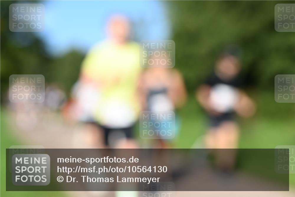 27.09.2026 - 35. Volkslauf durch das schöne Alstertal Dr. Thomas Lammeyer http://msf.ph/oto/10564130 27.09.2026 10:34:20 Laufen  meine-sportfotos.de