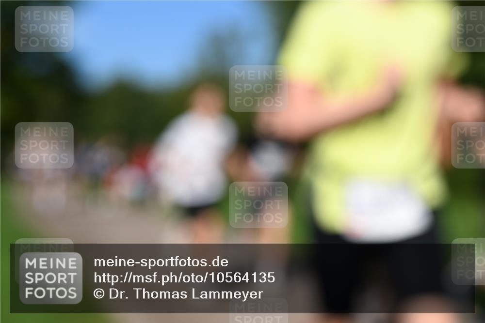 27.09.2026 - 35. Volkslauf durch das schöne Alstertal Dr. Thomas Lammeyer http://msf.ph/oto/10564135 27.09.2026 10:34:21 Laufen  meine-sportfotos.de