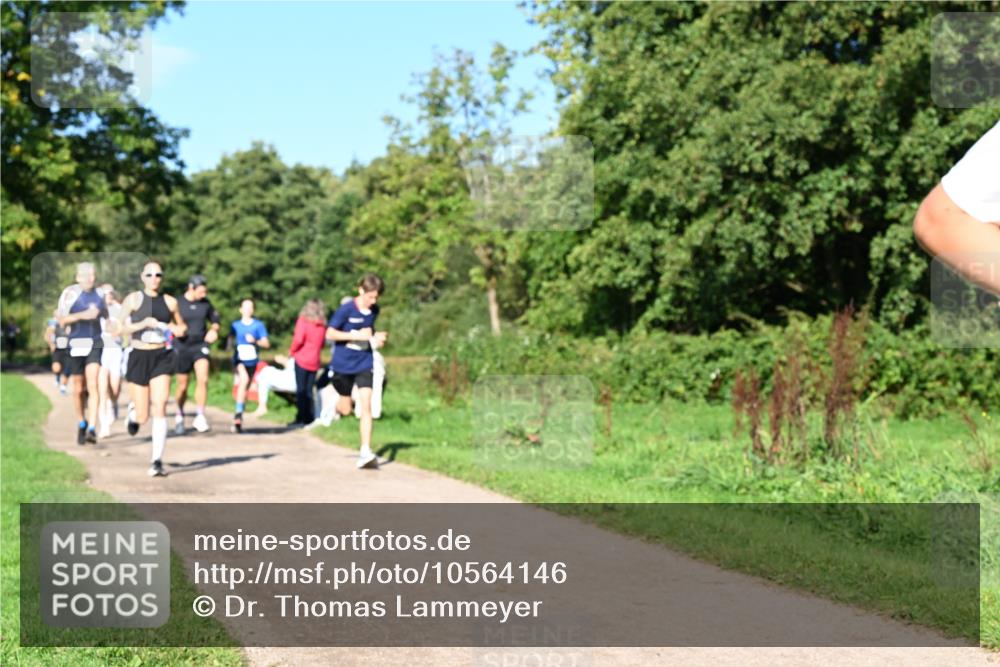 27.09.2026 - 35. Volkslauf durch das schöne Alstertal Dr. Thomas Lammeyer http://msf.ph/oto/10564146 27.09.2026 10:34:23 Laufen  meine-sportfotos.de