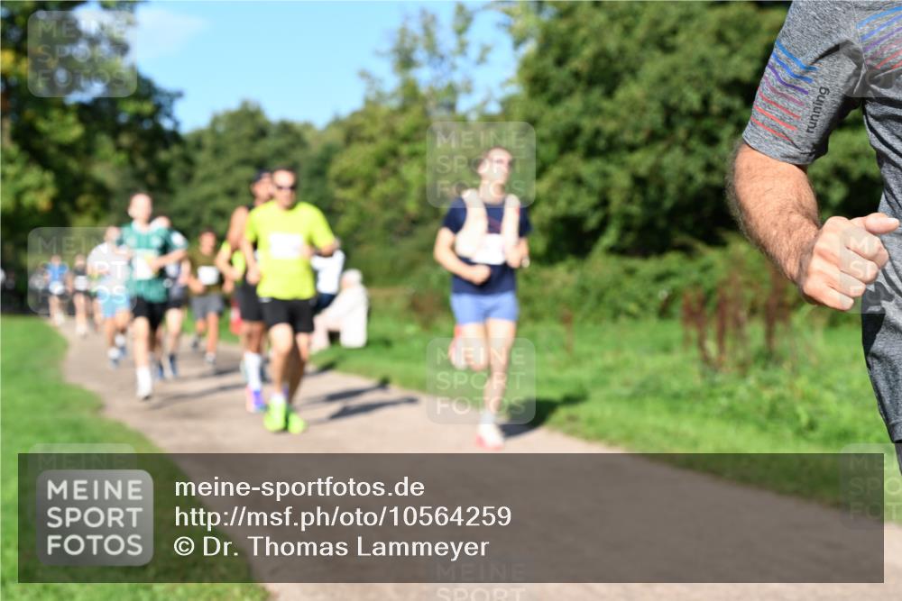 27.09.2026 - 35. Volkslauf durch das schöne Alstertal Dr. Thomas Lammeyer http://msf.ph/oto/10564259 27.09.2026 10:34:47 Laufen  meine-sportfotos.de
