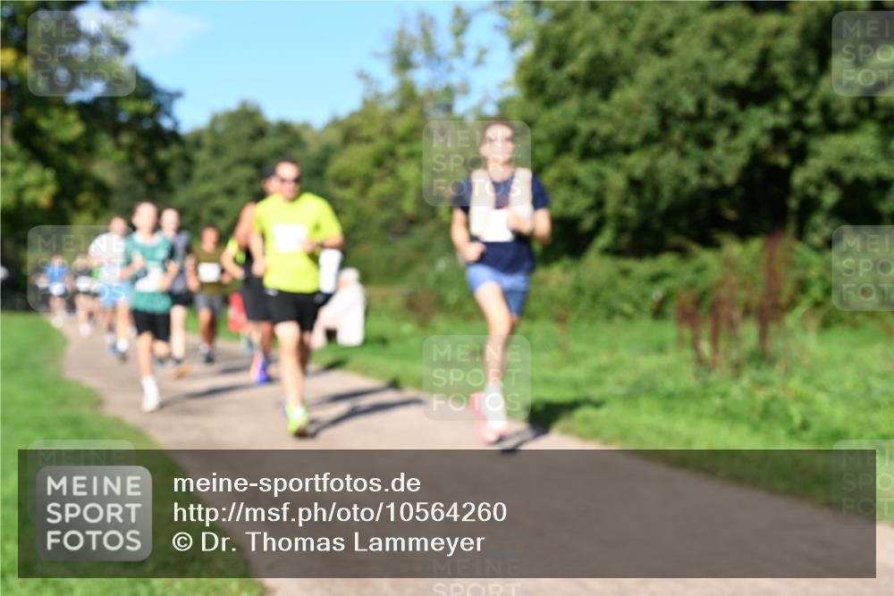 27.09.2026 - 35. Volkslauf durch das schöne Alstertal Dr. Thomas Lammeyer http://msf.ph/oto/10564260 27.09.2026 10:34:48 Laufen  meine-sportfotos.de