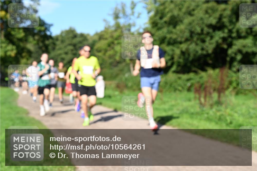 27.09.2026 - 35. Volkslauf durch das schöne Alstertal Dr. Thomas Lammeyer http://msf.ph/oto/10564261 27.09.2026 10:34:48 Laufen  meine-sportfotos.de