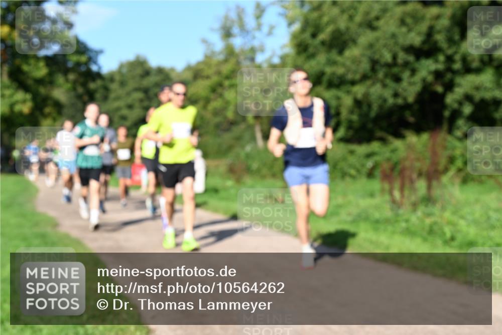 27.09.2026 - 35. Volkslauf durch das schöne Alstertal Dr. Thomas Lammeyer http://msf.ph/oto/10564262 27.09.2026 10:34:48 Laufen  meine-sportfotos.de