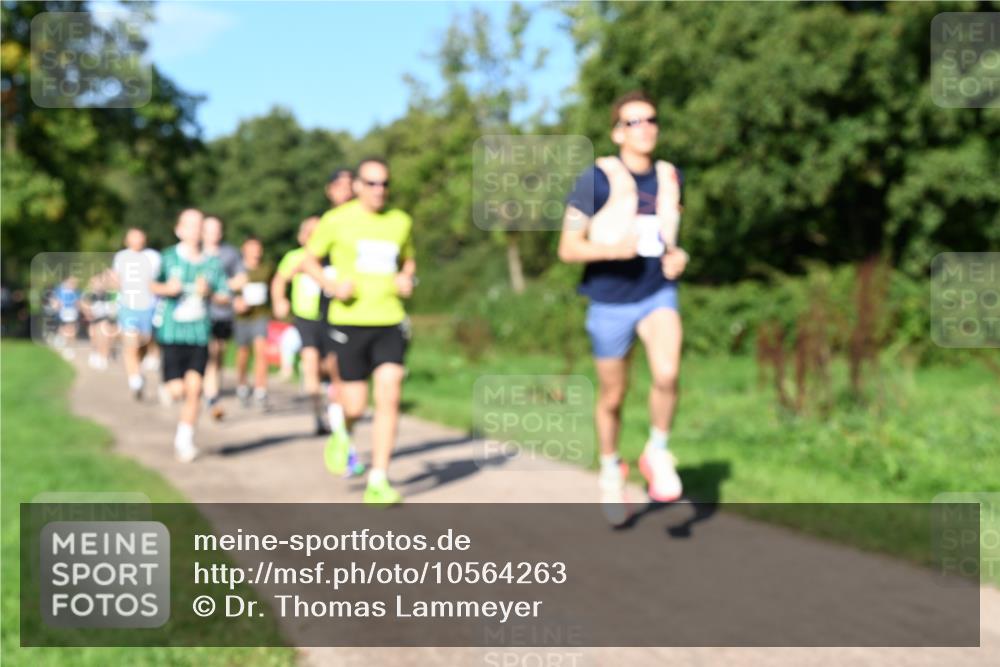 27.09.2026 - 35. Volkslauf durch das schöne Alstertal Dr. Thomas Lammeyer http://msf.ph/oto/10564263 27.09.2026 10:34:48 Laufen  meine-sportfotos.de