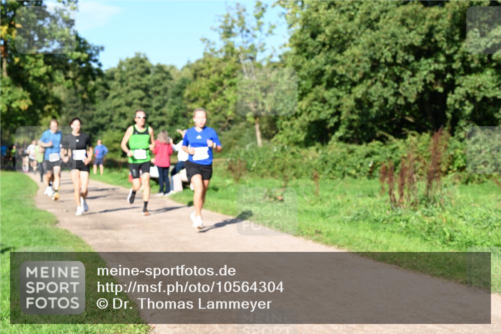 27.09.2026 - 35. Volkslauf durch das schöne Alstertal Dr. Thomas Lammeyer http://msf.ph/oto/10564304 27.09.2026 10:34:54 Laufen  meine-sportfotos.de