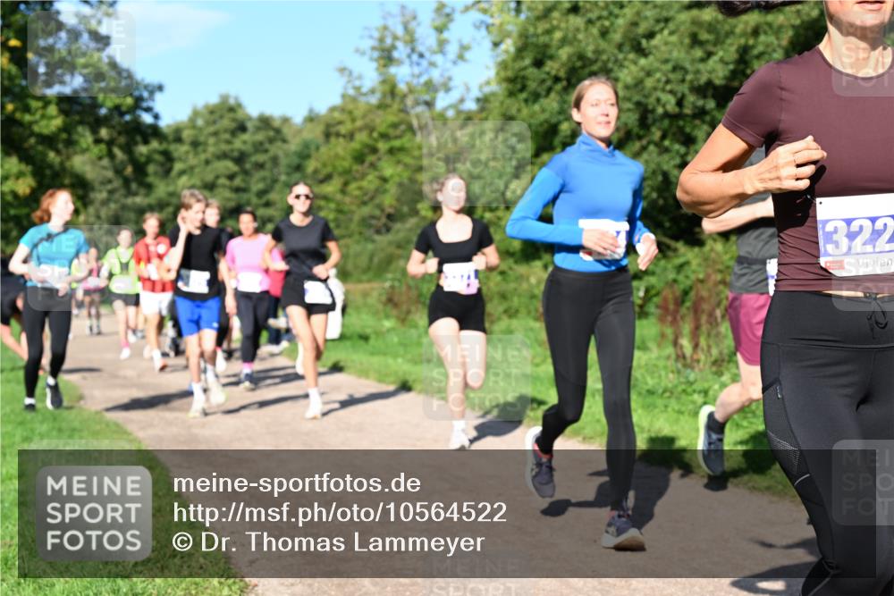 27.09.2026 - 35. Volkslauf durch das schöne Alstertal Dr. Thomas Lammeyer http://msf.ph/oto/10564522 27.09.2026 10:35:29 Laufen 322 meine-sportfotos.de