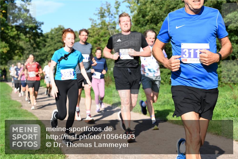 27.09.2026 - 35. Volkslauf durch das schöne Alstertal Dr. Thomas Lammeyer http://msf.ph/oto/10564603 27.09.2026 10:35:41 Laufen 311 meine-sportfotos.de