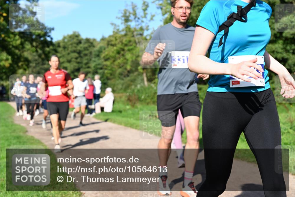 27.09.2026 - 35. Volkslauf durch das schöne Alstertal Dr. Thomas Lammeyer http://msf.ph/oto/10564613 27.09.2026 10:35:42 Laufen 331 meine-sportfotos.de