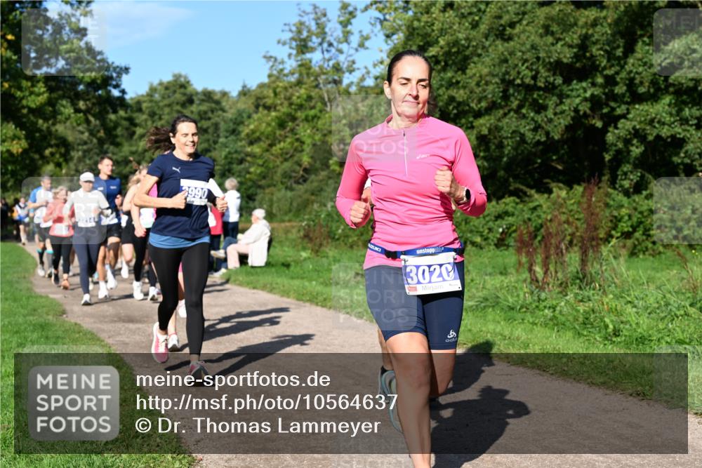 27.09.2026 - 35. Volkslauf durch das schöne Alstertal Dr. Thomas Lammeyer http://msf.ph/oto/10564637 27.09.2026 10:35:46 Laufen 2990, 3020 meine-sportfotos.de
