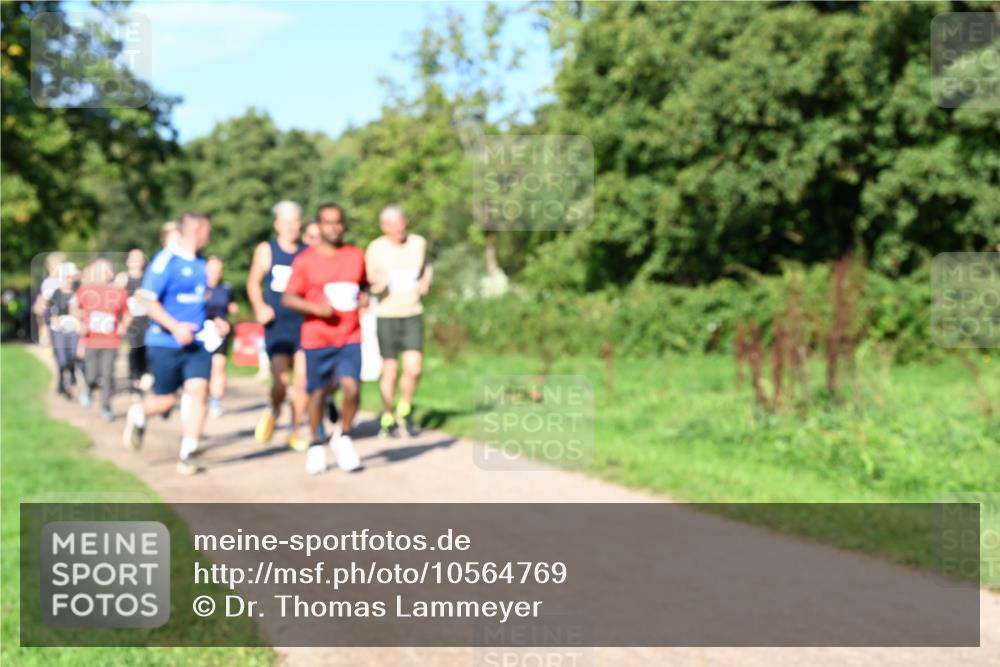 27.09.2026 - 35. Volkslauf durch das schöne Alstertal Dr. Thomas Lammeyer http://msf.ph/oto/10564769 27.09.2026 10:36:05 Laufen  meine-sportfotos.de