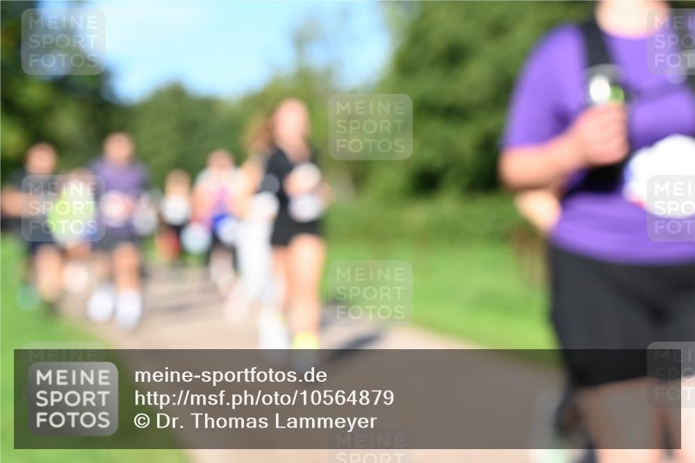 27.09.2026 - 35. Volkslauf durch das schöne Alstertal Dr. Thomas Lammeyer http://msf.ph/oto/10564879 27.09.2026 10:36:22 Laufen  meine-sportfotos.de